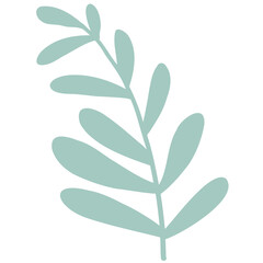 Hand drawn abstract organic leaf. Doodle botanical elements illustration.