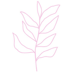 Hand drawn abstract organic leaf. Doodle botanical elements illustration.
