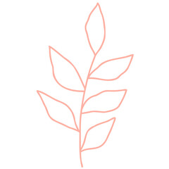 Hand drawn abstract organic leaf. Doodle botanical elements illustration.