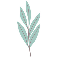 Fototapeta na wymiar Hand drawn abstract organic leaf. Doodle botanical elements illustration.