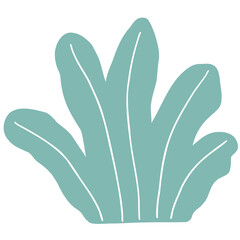 Hand drawn abstract organic leaf. Doodle botanical elements illustration.