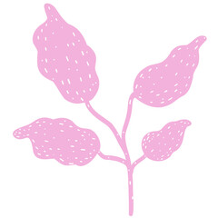 Hand drawn abstract organic leaf. Doodle botanical elements illustration.