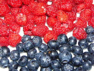 raspberries and bilberries fruits - fresh fruits