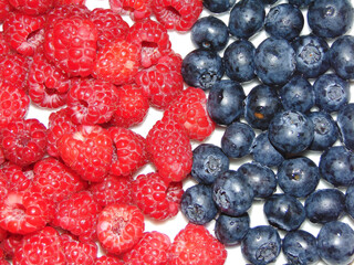 raspberries and bilberries fruits - fresh fruits