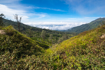 Obraz premium Ijen volcano in East Java, Indonesia