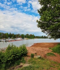 river and trees