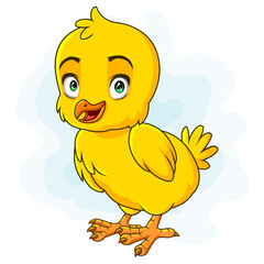 A cute little chicken chick isolated on white background. vector illustration