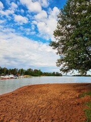 beach and trees