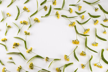 Fototapeta na wymiar Linden flowers placed in a circle and spiral on a white background. Place for text.
