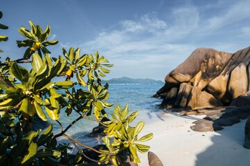 Beach in the Seychelles