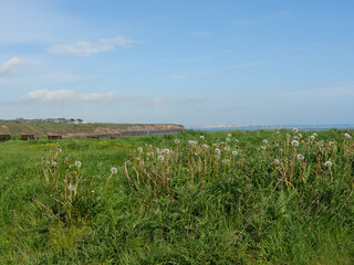 Thynmouth an der Ostk&uuml;ste von England