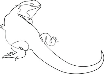 Fototapeta na wymiar single line exotic pet chameleon