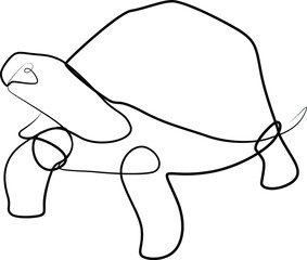 single line exotic pet turtle