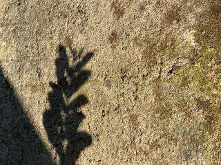 Sunlight on the rough concrete wall leaves shadows on a sunny day