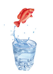 tilapia rouge , poisson, sauter, évasion, pêche, eau, en verre, boire, liquide, froid, verser, isolé, blanc, clapoter, éclaboussure, bouillonner, boisson, bleu, abattre, clair, frais, glace, sain, pro