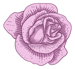 Obraz premium Rose Flower Design Woodcut Vintage Retro Style