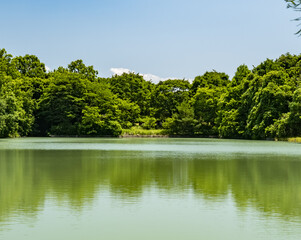 夏空と湖畔