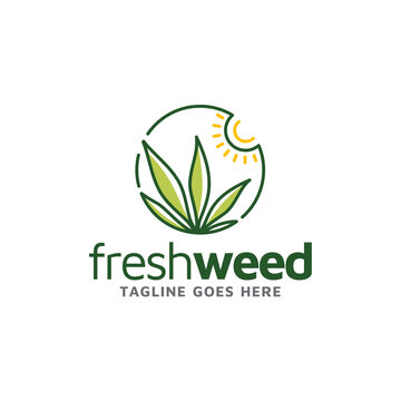 Fresh Grass with Sunrise. Marijuana Cannabis Leaf with Morning Sun logo design