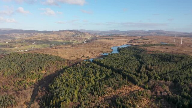 The reforestation continues at Bonny Glen in County Donegal - Ireland.