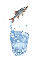 blageon, poisson, sauter, évasion, pêche, eau, en verre, boire, liquide, froid, verser, isolé, blanc, clapoter, éclaboussure, bouillonner, boisson, bleu, abattre, clair, frais, glace, sain, propre, tr