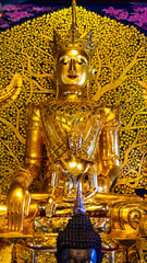 A golden Buddha statue that is hundreds of years old for the general public to take pictures and visit.