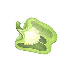 Bell pepper slice. Watercolor illustration fresh vegetabl paprika cooking Isolated on white background. Art for design