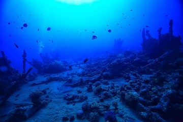 wreck diving thistelgorm, underwater adventure historical diving, treasure hunt