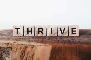 Thrive Word Written In Wooden Cube