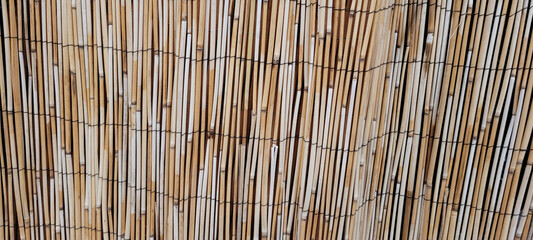 bambu 