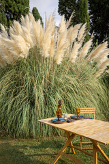 Served table for a dinner at beautiful garden with pampas grass on background