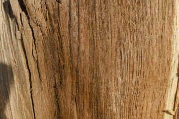 Fototapeta premium Texture brown wooden background with cracks. Horizontal wooden surface