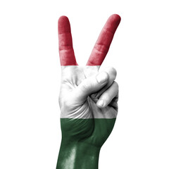 Hand making the V victory sign with flag of hungary
