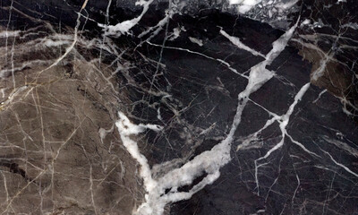 Fototapeta na wymiar New Shady Black Marble With Web Structure White Veins background For interior 