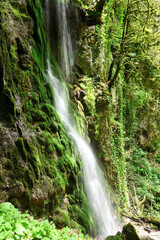 Fototapeta na wymiar Beautiful waterfall at the Abkhazian forest, Kodori gorge. View from bottom to top