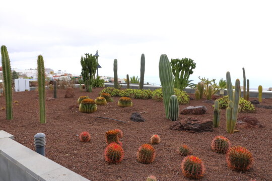 Ancient Guanche Guimar Pyramids in Tenerife Island