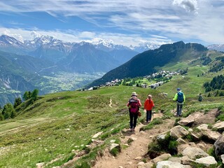 Wanderer / Wandergruppe wandern von Bettmeralp nach Riederalp im Wallis - Schweizer Berge - Wanderferien Aletsch Arena beim Aletschgletscher - obrazy, fototapety, plakaty