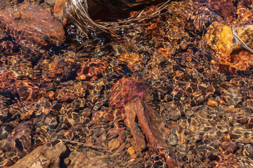 Nature background of clear water stream with motley stony bottom in sunlight. Colorful mountain stream texture with mineral water in bright sun. Pattern of sunlit multicolor stones in spring water.