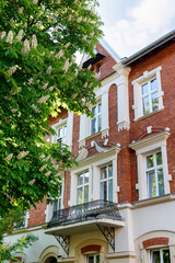 KRAKOW, POLAND - MAY 10, 2022: An old townhouse and chestnut tree in Krakow, Poland.