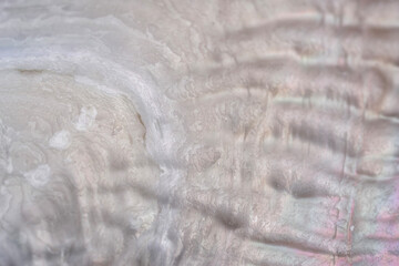 Pearl surface luxury background close up
