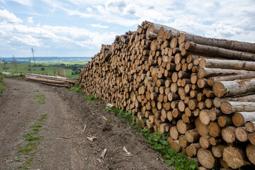 Beautiful view of stack of sawn spruce wood