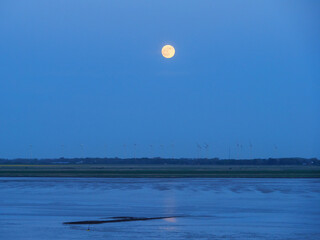 Die Stadt Hamburg, der Hafen und die Elbe