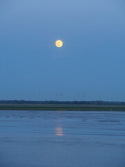 Die Stadt Hamburg, der Hafen und die Elbe
