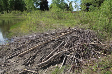 The Beaver Lodge, Gold Bar Park, Edmonton, Alberta