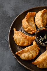 gyoza on a black background on a plate