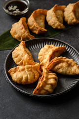 gyoza on a black background on a plate
