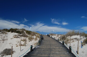 Wooden pathway leading to beach with blue skies