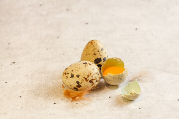 Quail eggs on a light background.Copy space