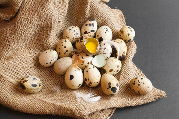 Fresh quail eggs on a dark background