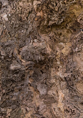 Abstract background illustration, modern hipster futuristic fractal flame graphic. colorful surreal poster, banner