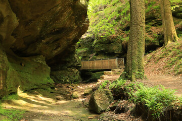 The hiking trail Mullerthal trail with wooden bridge, a canyon in Luxembourg